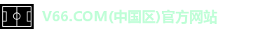 V66.COM(中国区)官方网站logo